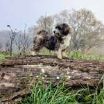 Ersteller:in Summer Profilbild