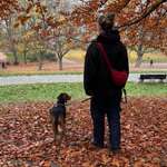 Ersteller:in Hannah Profilbild