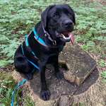 Ersteller:in Nicole Profilbild