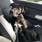 Ersteller:in Evelin Profilbild