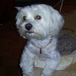 Ersteller:in Anja Profilbild