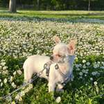 Ersteller:in MK Profilbild