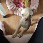 Ersteller:in Vanessa  Profilbild