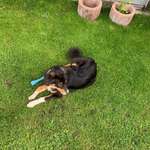 Ersteller:in Niklas Profilbild