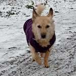 Ersteller:in Bantra Profilbild