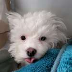 Ersteller:in Ang Profilbild