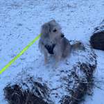 Ersteller:in Esther Profilbild