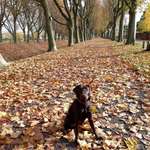 Ersteller:in Nicole Profilbild