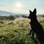 Ersteller:in Andreas Profilbild