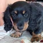 Ersteller:in Tanja Profilbild