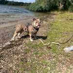 Ersteller:in Sandra Profilbild