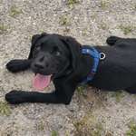 Ersteller:in Romana Profilbild