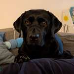 Ersteller:in Romana Profilbild