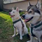 Ersteller:in Sevgi &Benni Profilbild