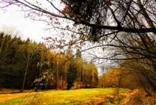 Hundeauslaufgebiet-Trebnitzgrund-Bild