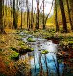 Hundeauslaufgebiet-Trebnitzgrund-Bild