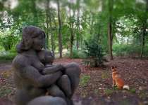 Hundeauslaufgebiet-Leutewitzer Park-Bild