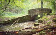 Hundeauslaufgebiet-Trebnitzgrund-Bild