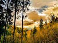 Hundeauslaufgebiet-Trebnitzgrund-Bild