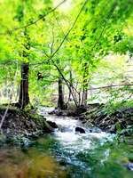 Hundeauslaufgebiet-Trebnitzgrund-Bild