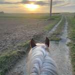 Ersteller:in Sabrina Profilbild