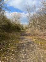 Hundeauslaufgebiet-Halde Norddeutschland-Bild