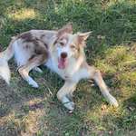 Ersteller:in Maya Profilbild