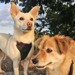 Ersteller:in Jessica Profilbild