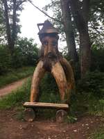 Hundeauslaufgebiet-Schöner Rundgang zum Möhlwoog-Bild