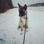 Ersteller:in Tanja Profilbild