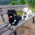 Ersteller:in Ute Profilbild