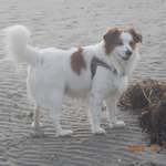 Ersteller:in Martina Profilbild