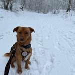 Ersteller:in Annika Profilbild