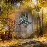 Ersteller:in Simone Profilbild