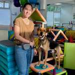 Ersteller:in Franziska Profilbild