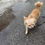 Suchmeldung-Lou-Bild