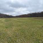 Hundeauslaufgebiet-Abenteuerspielplatz-Bild