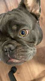 Hat das schonmal jemand gesehen?-Beitrag-Bild