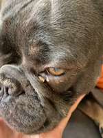 Hat das schonmal jemand gesehen?-Beitrag-Bild