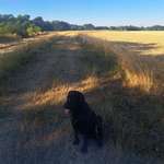 Ersteller:in Susanne Profilbild