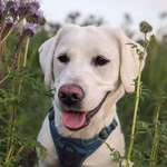 Ersteller:in Silvio Profilbild