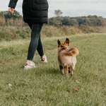 Ersteller:in Michelle Profilbild