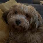 Ersteller:in Melanie Profilbild