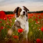 Ersteller:in Laura Profilbild