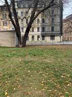 Hundeauslaufgebiet-Cottbuser/Rauschwalder-Bild