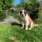 Ersteller:in Aline Profilbild