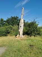 Hundeauslaufgebiet-Spargelfelder Brielow-Bild