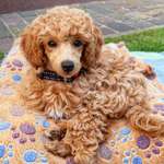 Ersteller:in M Profilbild