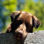 Ersteller:in Karin Profilbild