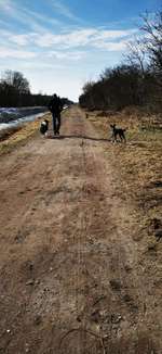 Hundeauslaufgebiet-Moor zwischen Moordorf und Tannenhausen-Bild